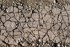 不使用測土儀？如何辨別土壤肥瘦？