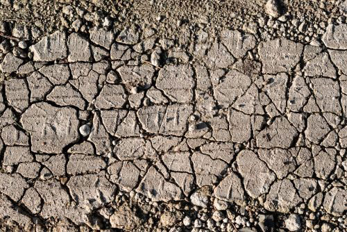 不使用測土儀？如何辨別土壤肥瘦？