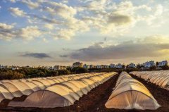 農業與互聯網的相互滲透