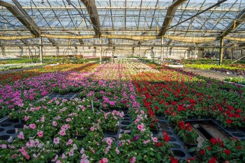 農業物聯網監控系統 農業物聯網監控系統