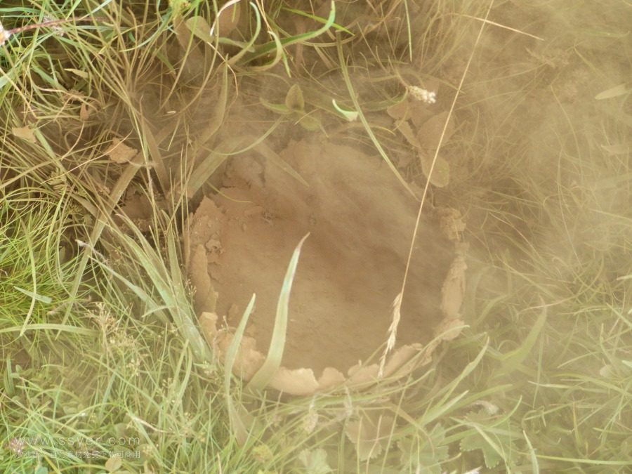 顆粒物在線監測技術 顆粒物在線監測技術